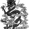 Chinese Chess Player: marianske_lazne