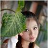 Chinese Chess, Caro Player