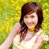 Chinese Chess Player: thaytr0itridan3
